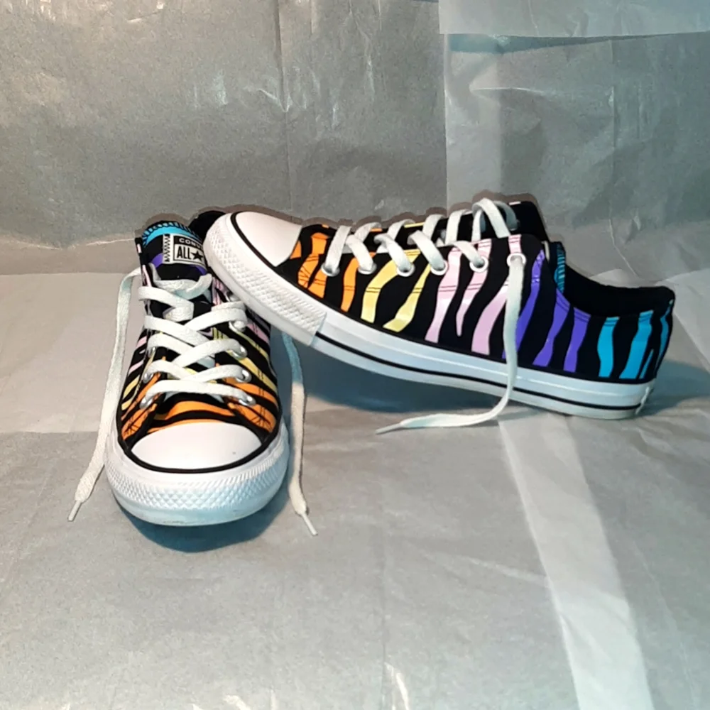 Converse Low Top Sneakers with Rainbow Zebra Stripes